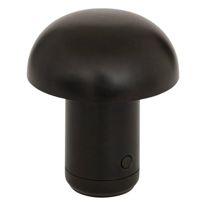 Lampe LED batterie Lidi H11,2cm