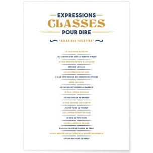 Affiche Expressions classes pour dire 'Je vais aux toilettes'