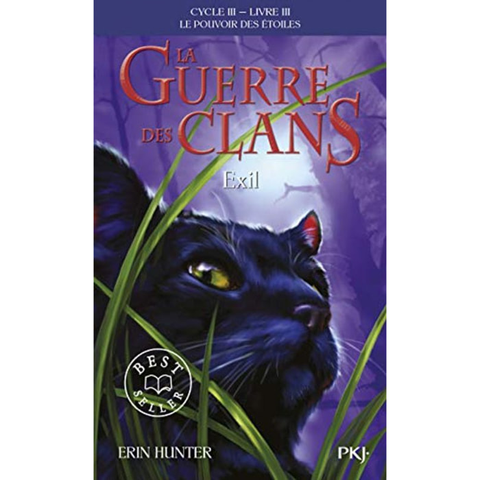 Hunter, Erin | La guerre des Clans, cycle III - tome 03 : Exil (3) | Livre d'occasion