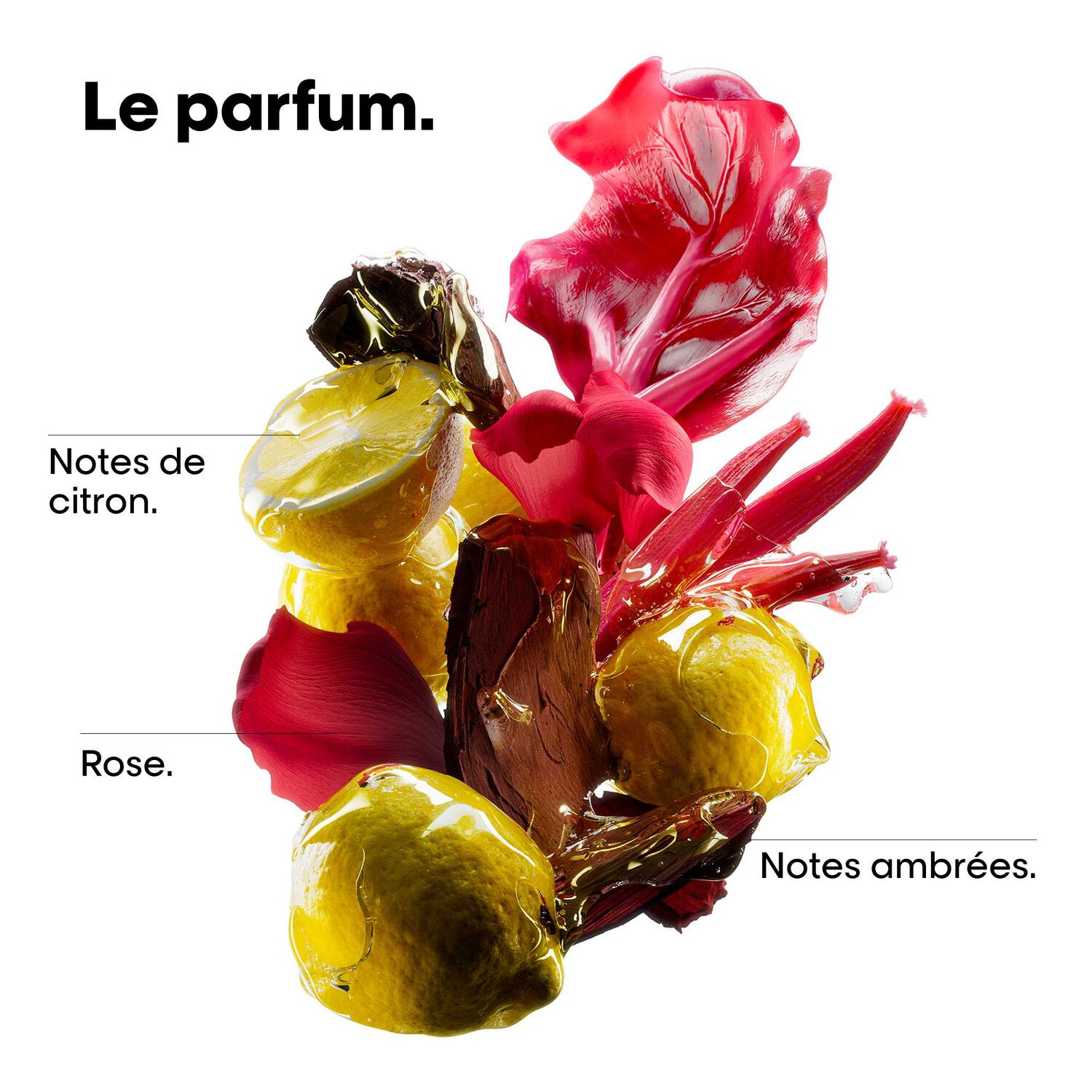 Vitamino Color Spectrum - Coffret Shampooing Protecteur 100 ml + Sérum sans Rinçage 30 ml