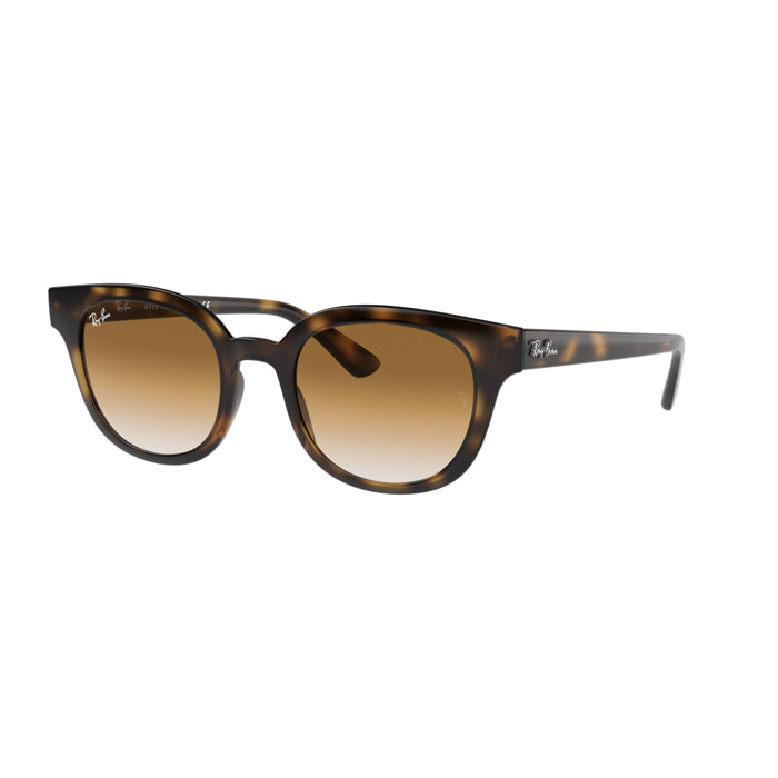 Gafas de sol Ray Ban Unisex RB4324-50-710-51