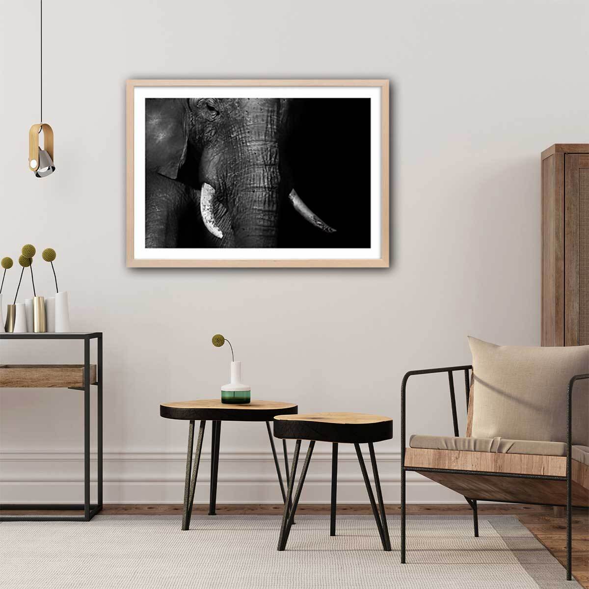 Affiche animaux éléphantloxodonta africana Affiche + cadre en bois - Chêne