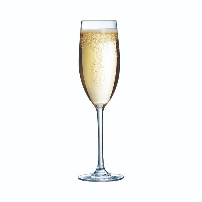6 flûtes à champagne 24 cl Menades
