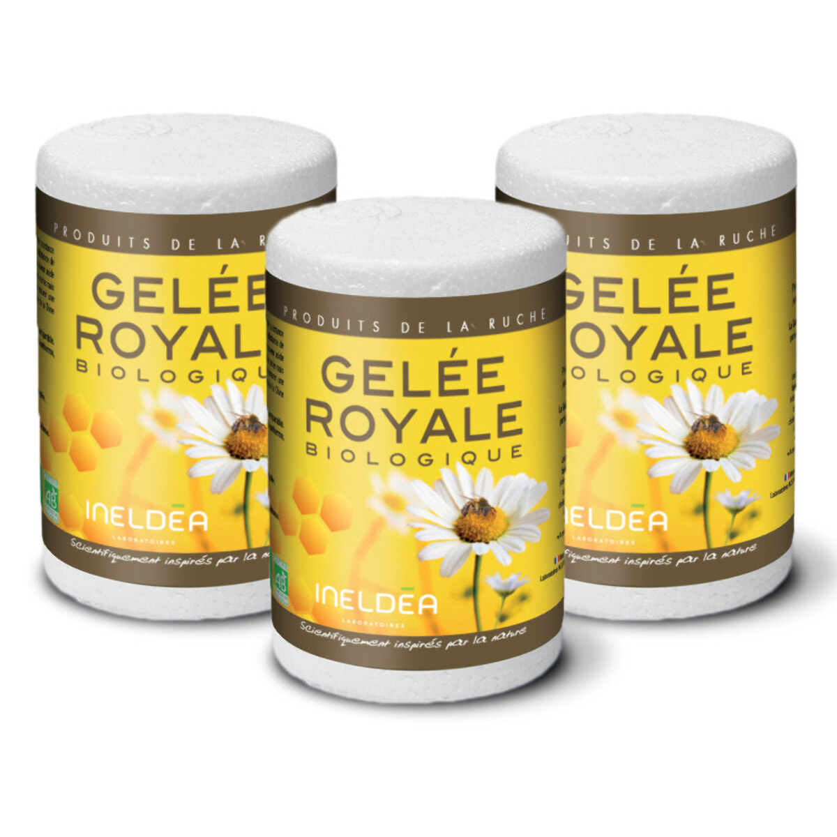 NUTRI EXPERT - Gelée Royale Bio Ecocert - 100% pure - Conditionnée en boîte isotherme sous atmosphère stérile - Renforce l'immunité - Réduit la fatigue - Lot de 3 produits