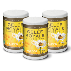 NUTRI EXPERT - Gelée Royale Bio Ecocert - 100% pure - Conditionnée en boîte isotherme sous atmosphère stérile - Renforce l'immunité - Réduit la fatigue - Lot de 3 produits