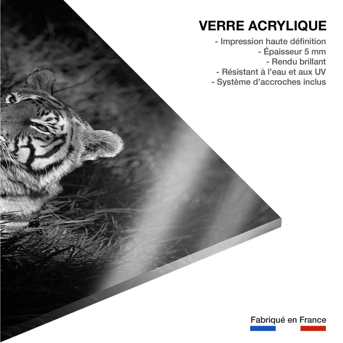 Tableau tigre Tableau plexiglas