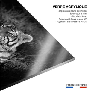 Tableau tigre Tableau plexiglas