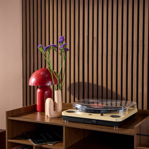 Panneaux muraux acoustiques, tasseaux décoratifs noyer KYOTO