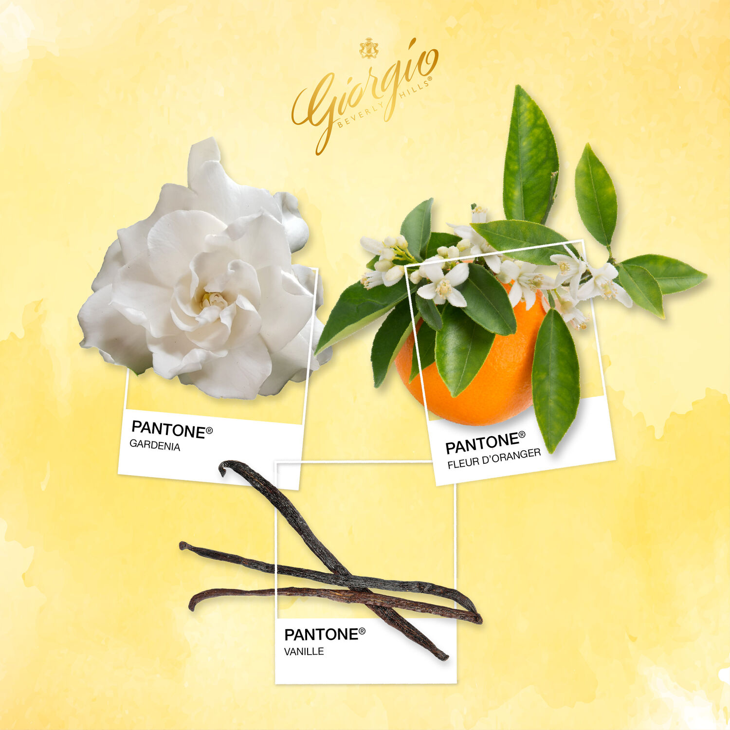 Giorgio Beverly Hills - Brume Parfumée 236 ml