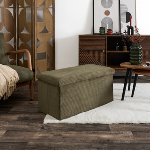 Coffre Banc Pliable Cotele Scott Vert