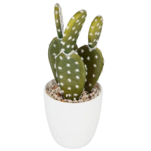 Plante succulente & cactus H18cm