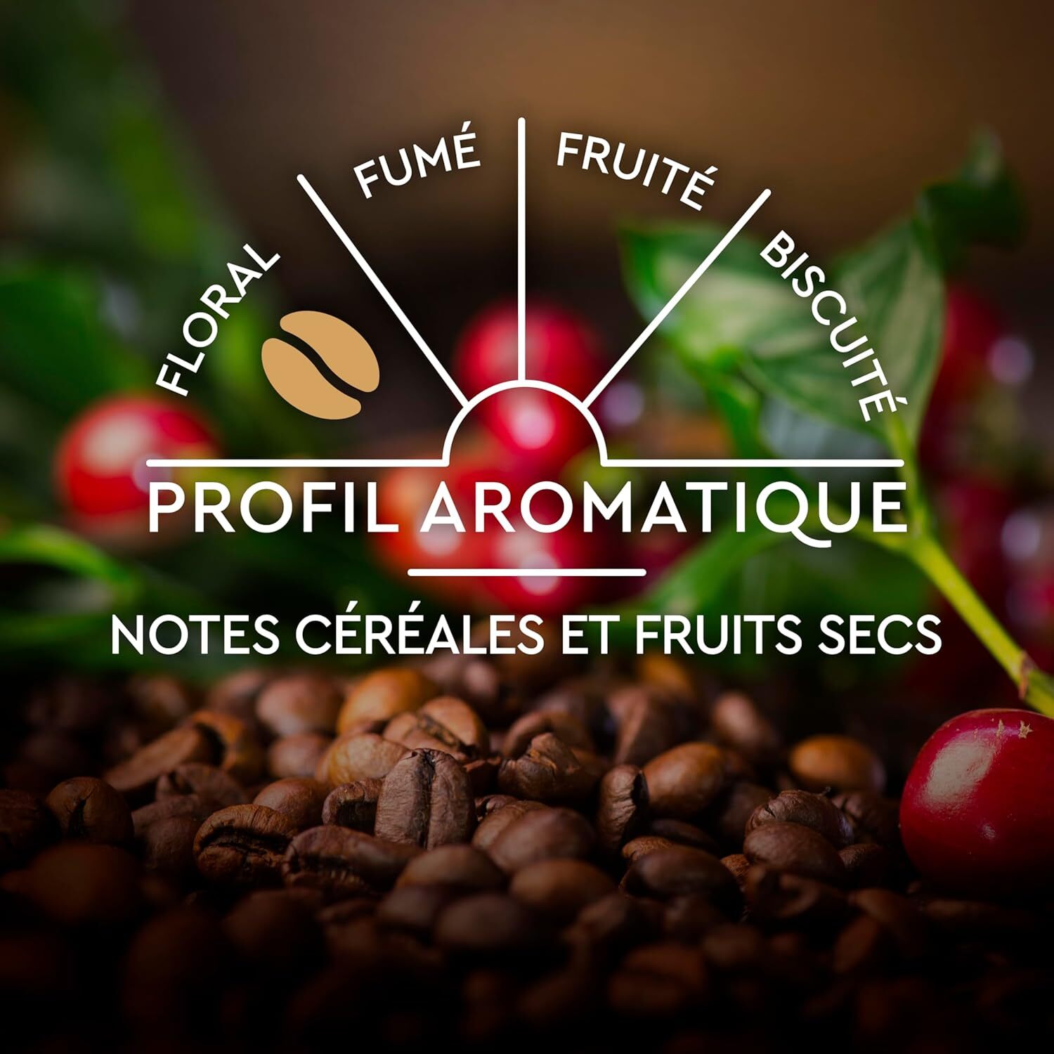 Carte Noire Café en capsules L'iconique x30