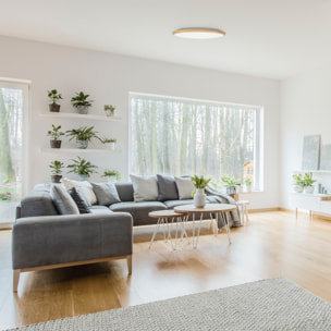 FORLIGHT PLAFÓN IP20 WILLY LED 15.2W BLANCO NEUTRO - 4000K ON-OFF IMITACIÓN MADERA