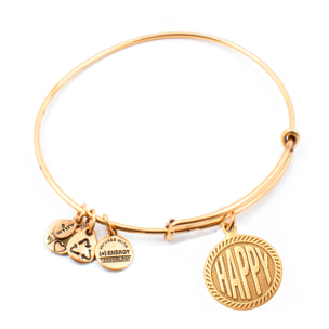 Pulsera Alex And Ani Mujer A10EB241RG