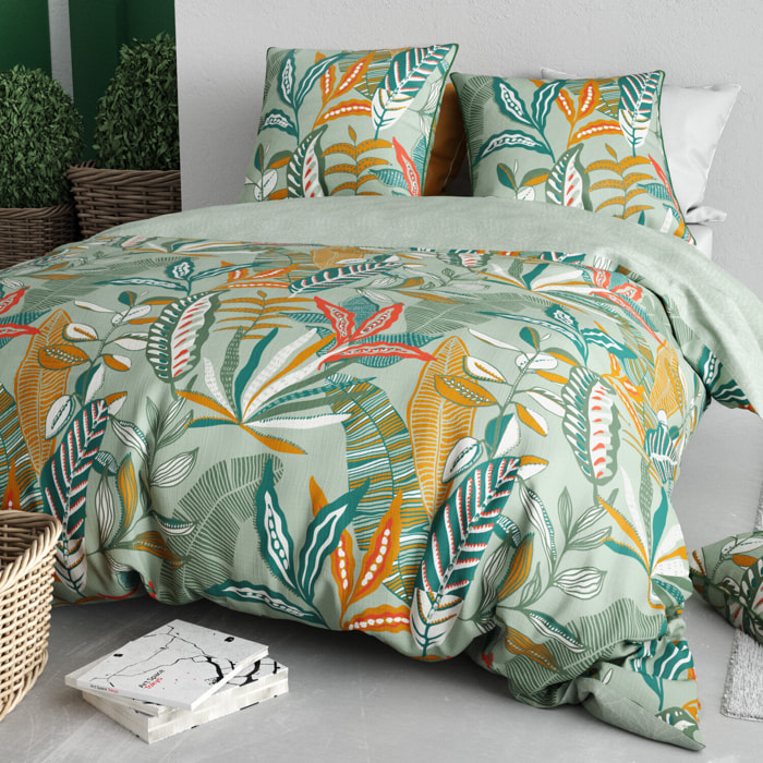 Parure housse de couette + taie(s) 100% coton 57 fils lily