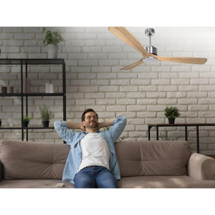 Ventilateur de plafond Réversible  Thermostat Wifi Moteur à courant continu Toits en pente Télécommande Hypersilence Mémoire Shopify Vendible (AUTOMATIQUE) 40   W argent