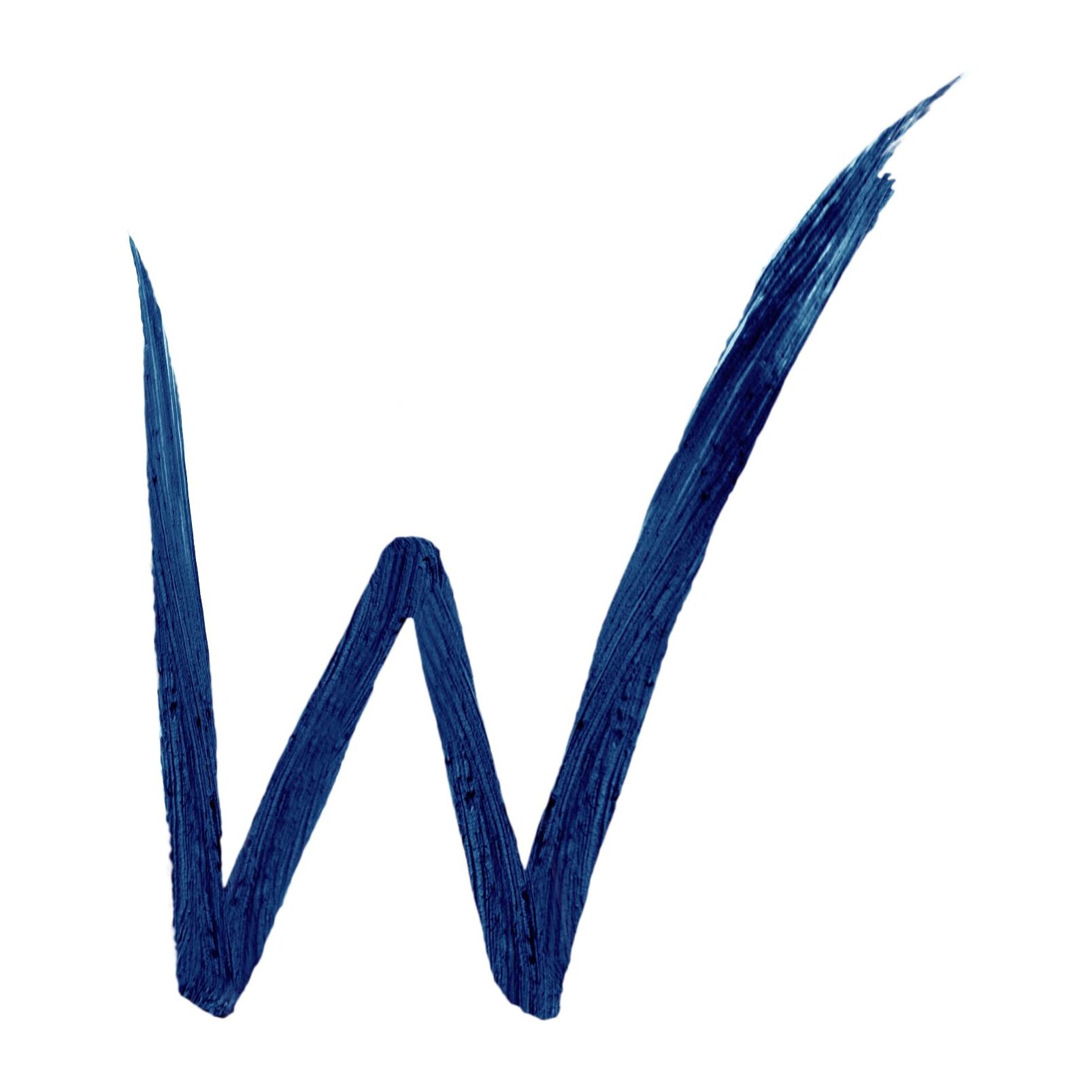 PRO LINE GEL EYELINER Eyeliner in gel super pigmentato