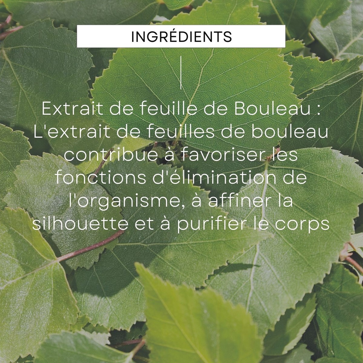 WELEDA - Huile de Massage Minceur 200 ml