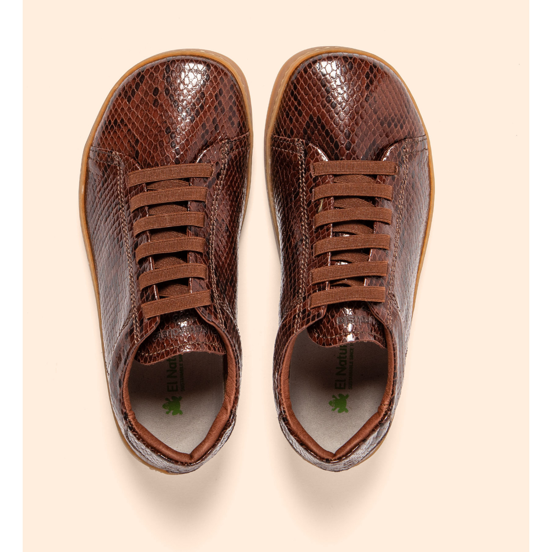 Zapatos N5910 SNAKE CHOCOLATE / ORIGEN color Chocolate