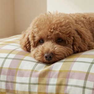 Housse antitaches pour lit pour animal Benimodo