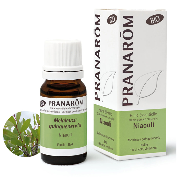 Pranarom - Huile Essentielle de Niaouli - Bio - 10 ml
