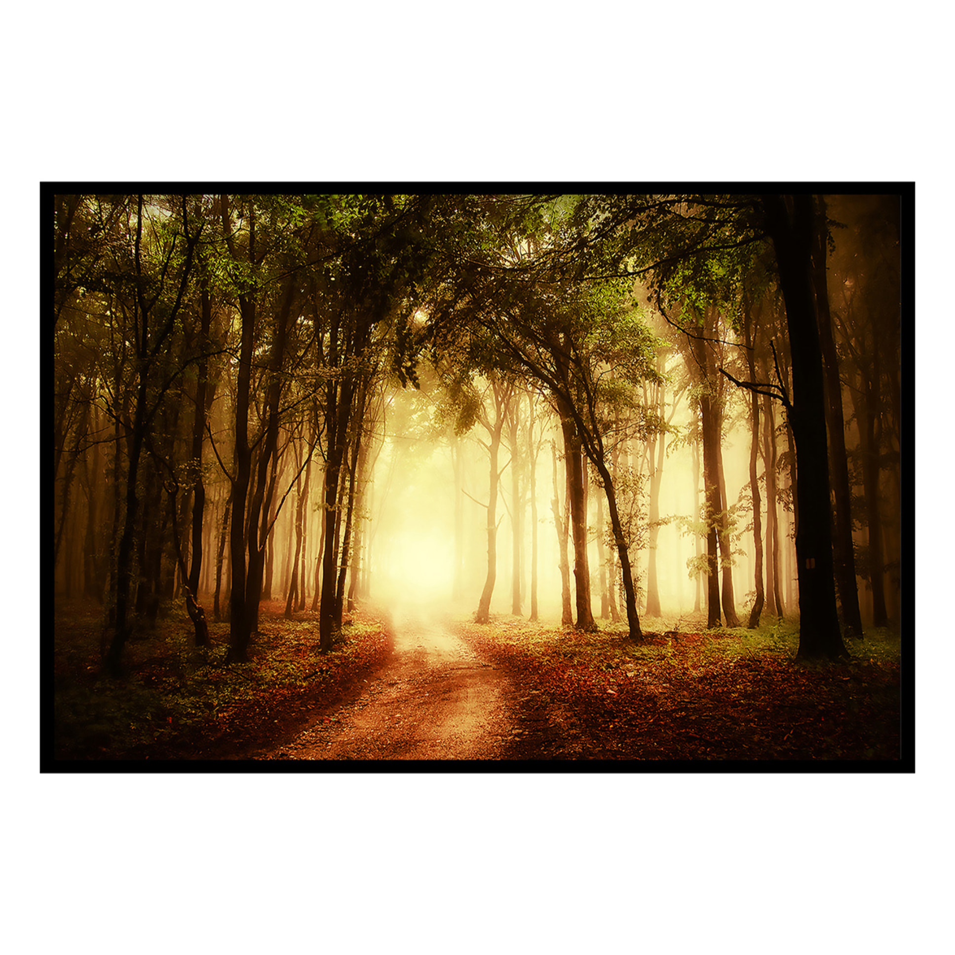 Affiche encadrée forêt dorée et chemin lumineux Affiche + cadre en métal - Noir