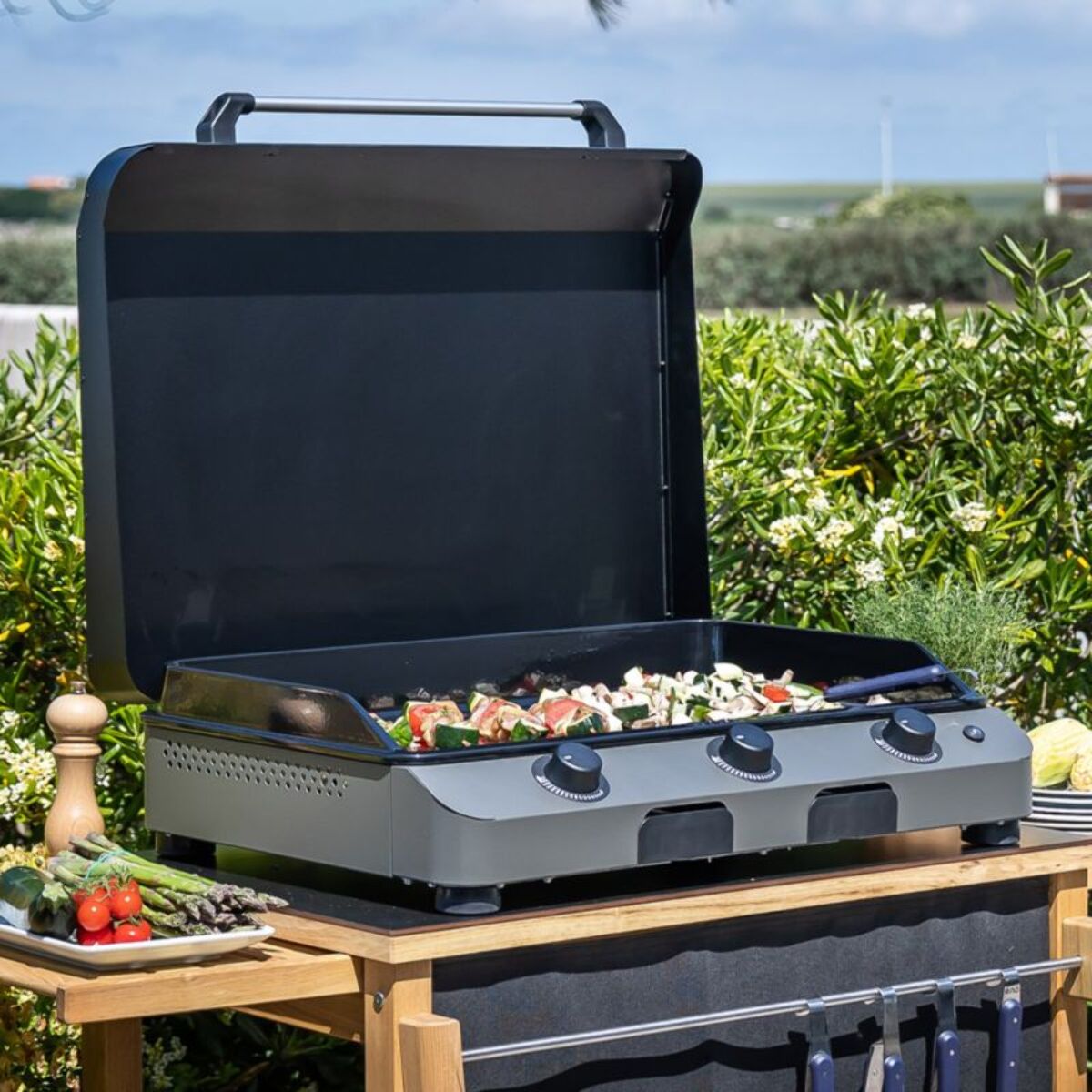 Plancha gaz ENO FUSION 75 Gris cargo 3 brûleurs à poser, 74x40 cm