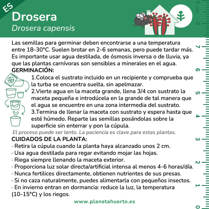 PLANETA HUERTO | Kit de Autocultivo Planta Carnívora Drosera Planeta Huerto – Ideal para Iniciarse en el Cultivo de Plantas Insectívoras