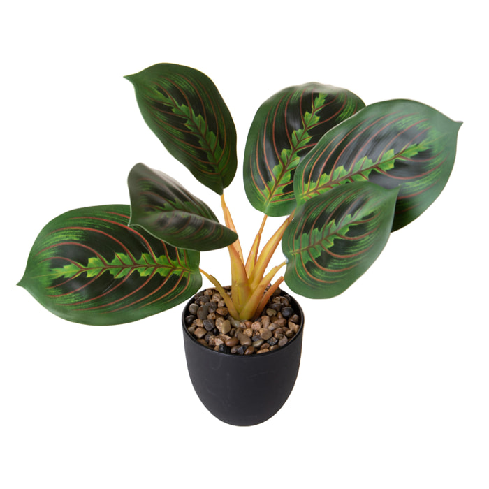 Maranta 11 Fgl In Vaso 36 Cm - Pezzi 4 - 15X36X15cm - Colore: Verde - Bianchi Dino - Piante Artificiali