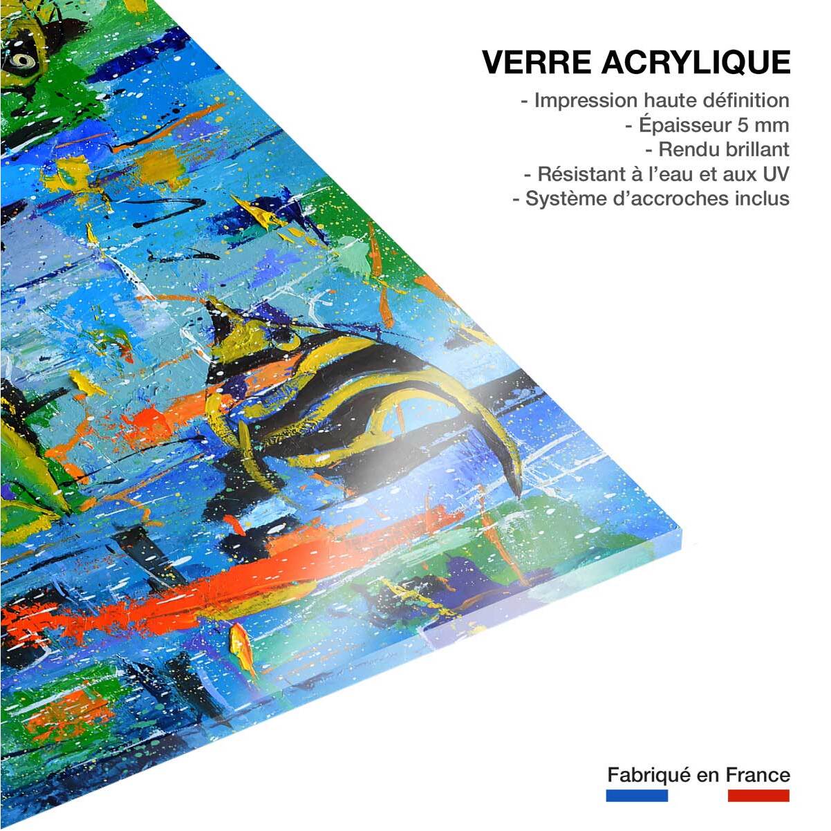 Tableau reproduction aquarium Tableau plexiglas