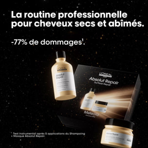Serie Expert Absolut Repair - Coffret Shampooing 300 ml + Masque 250 ml