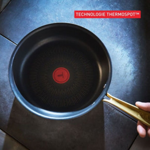 Poêle TEFAL 30cm Bocuse Edition