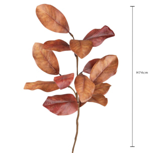 Magnolia ramo - Pezzi 12 - 18xH74x16cm - Bianchi Dino SpA