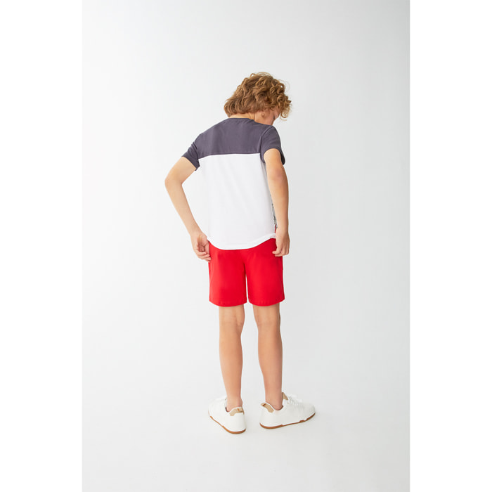 Conjunto Niño Verano Camiseta Color Gris Marengo y Blanco con Estampado Dino Surf y Pantalón Corto Rojo de Algodón Orgánico | Color: Gris marengo | Street Monkey