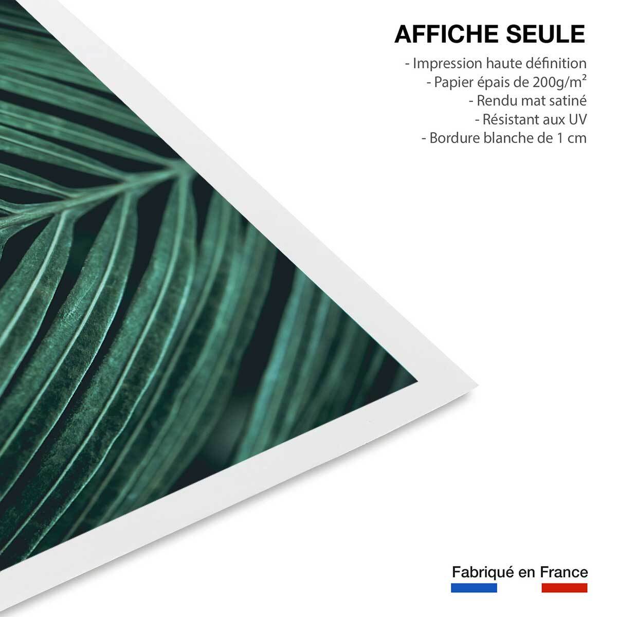 Affiche feuille palmen Affiche seule