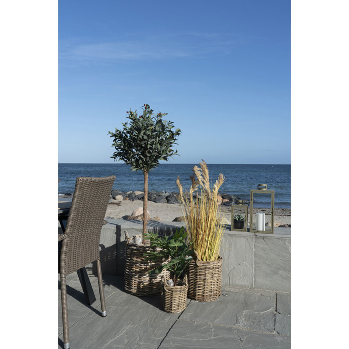 Set di 3 cesti Sema in rattan kubu naturale con manici - misure assortite