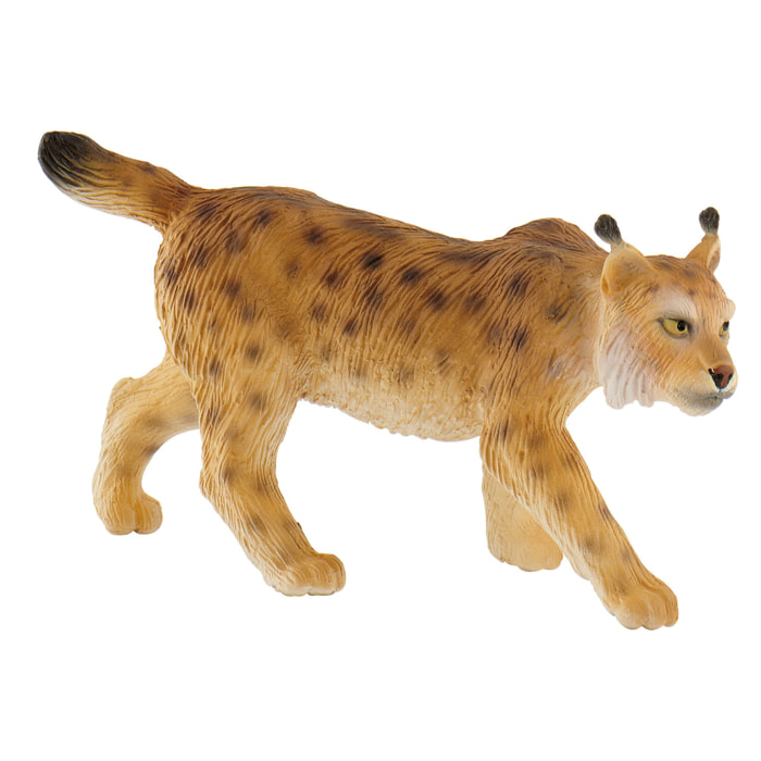 Animali della Foresta/Lince