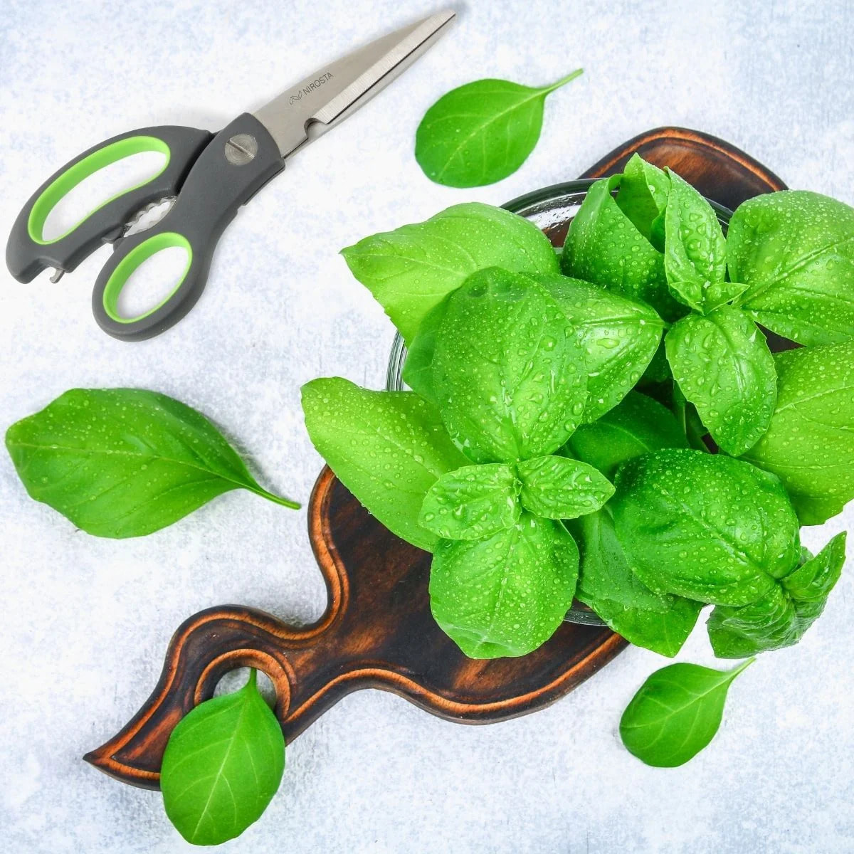 Ensemble de 2 Ciseaux de cuisine Nirosta Praktika