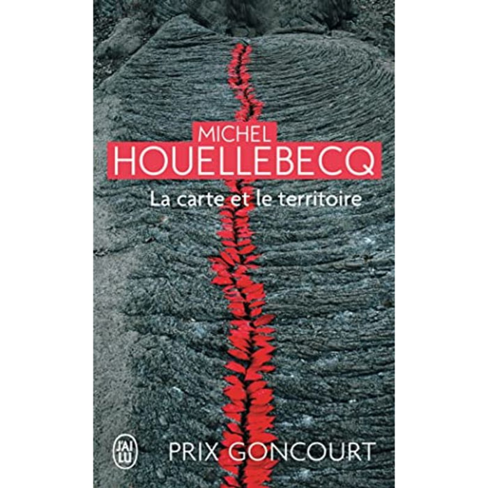 Houellebecq,Michel | La carte et le territoire - Prix Goncourt 2010 | Livre d'occasion