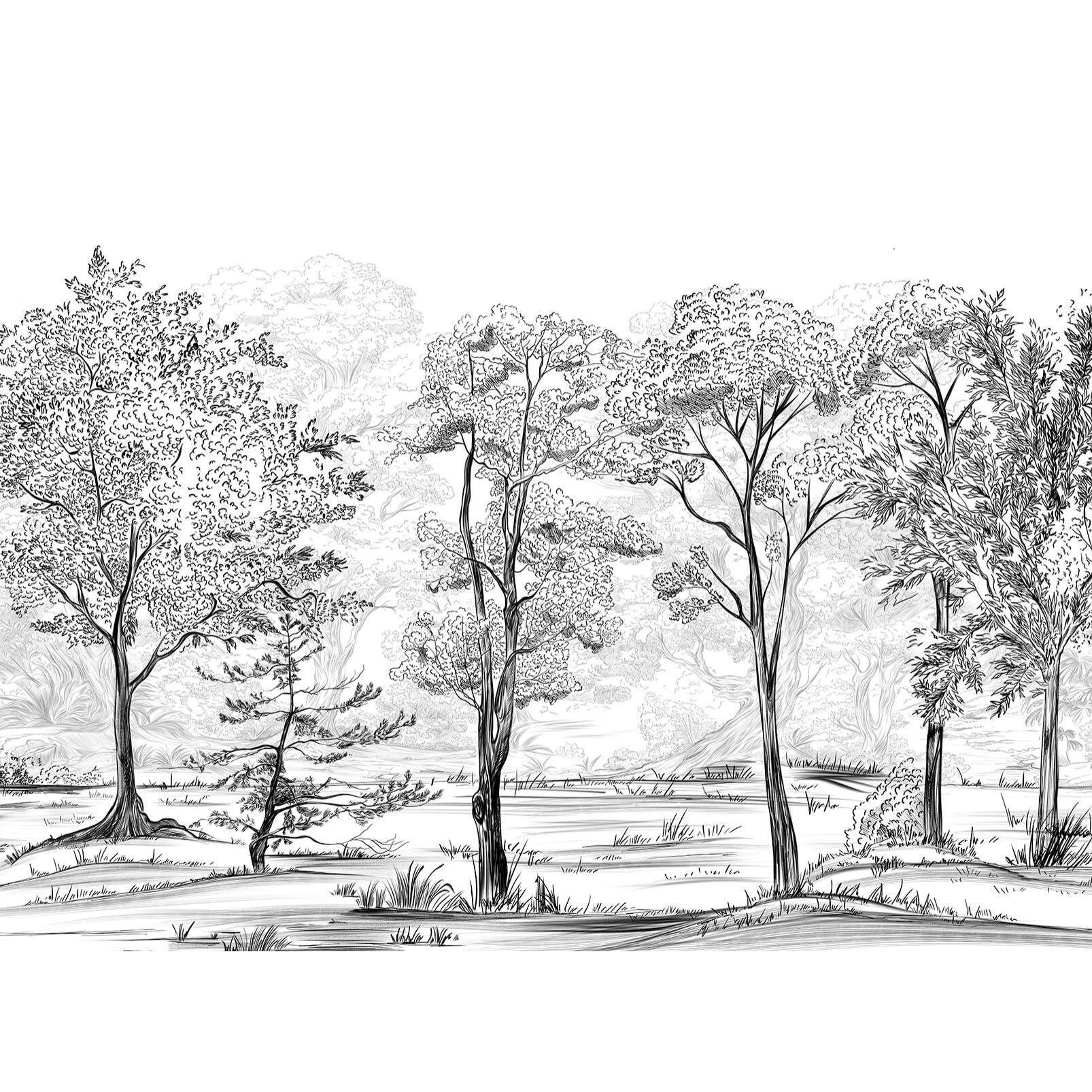 Papier peint panoramique foret Intissé