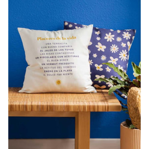 Funda de cojín "Placeres de la vida"