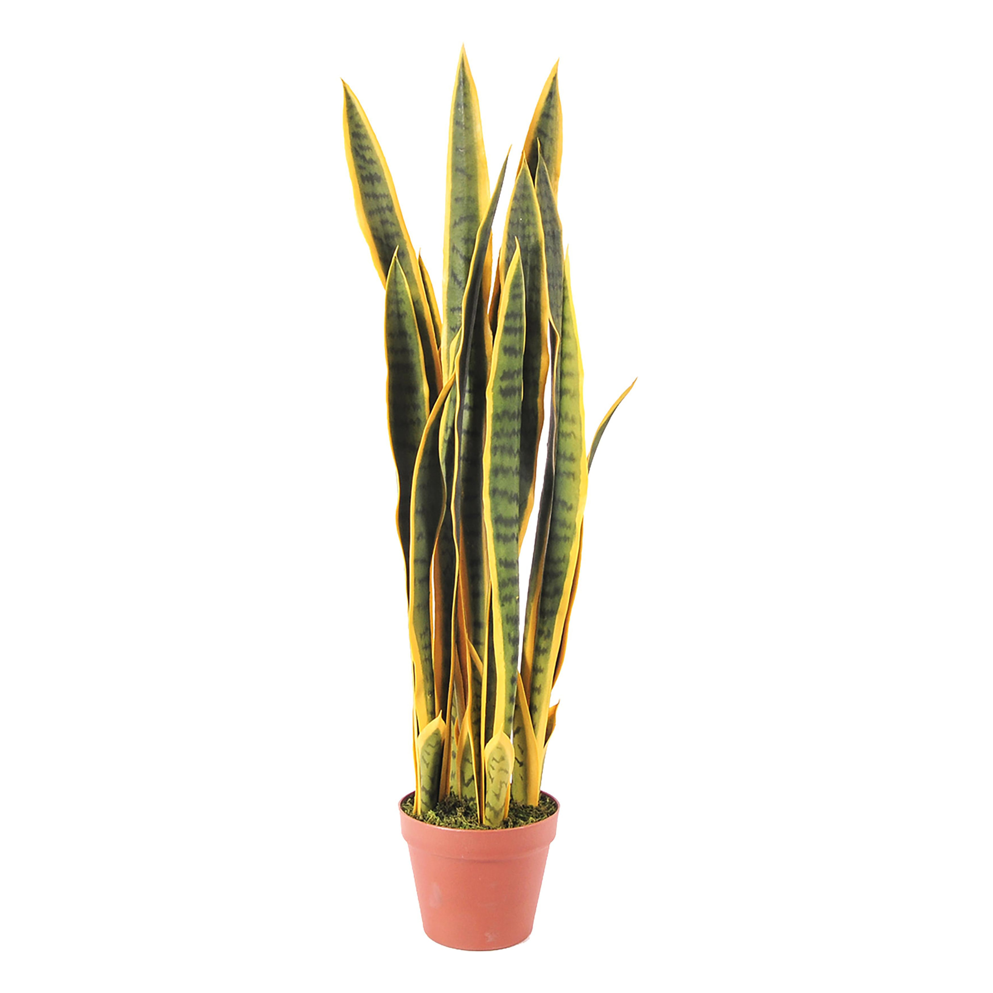 Sanseveria Con 25 Foglie In Vaso. Altezza 92 Cm - Pezzi 1 - 20X92X20cm - Colore: Verde - Bianchi Dino - Piante Artificiali