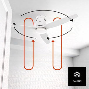 Ventilateur plafonnier TAURUS POLAR 3B PURE