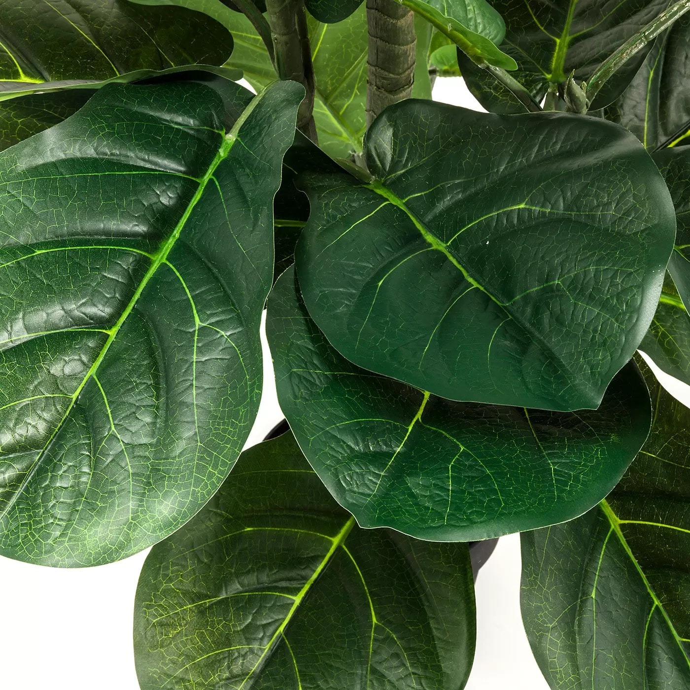 Plante décorative Ficus Lyrata 120cm Kare Design