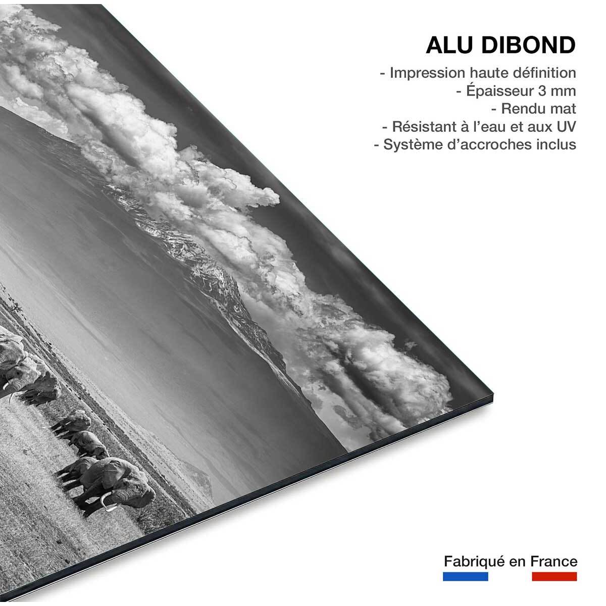 Tableau mysterieux voyage des éléphants Tableau alu Dibond