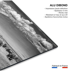 Tableau mysterieux voyage des éléphants Tableau alu Dibond