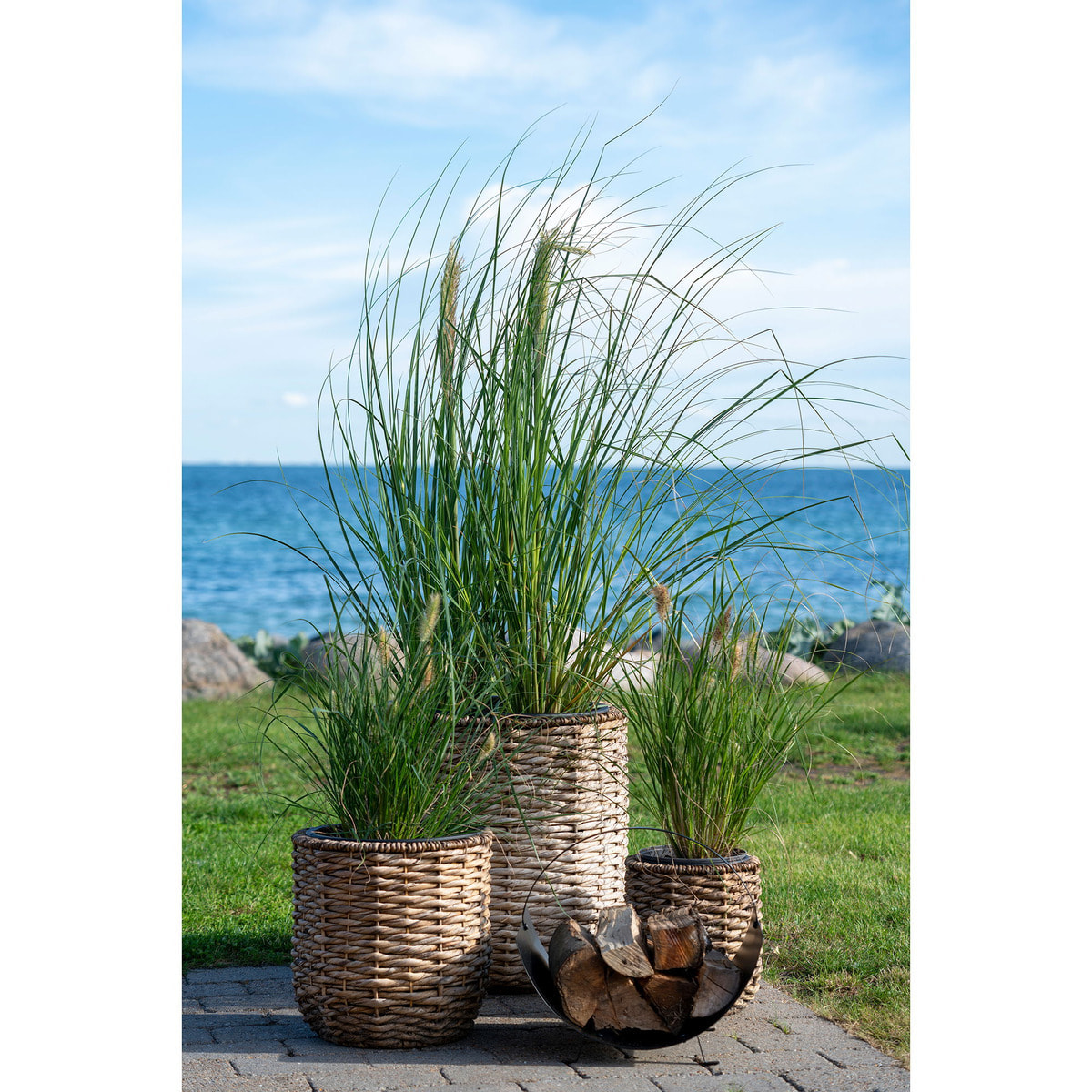 Vasi Hanoi in giacinto d'acqua naturale set 3 pezzi