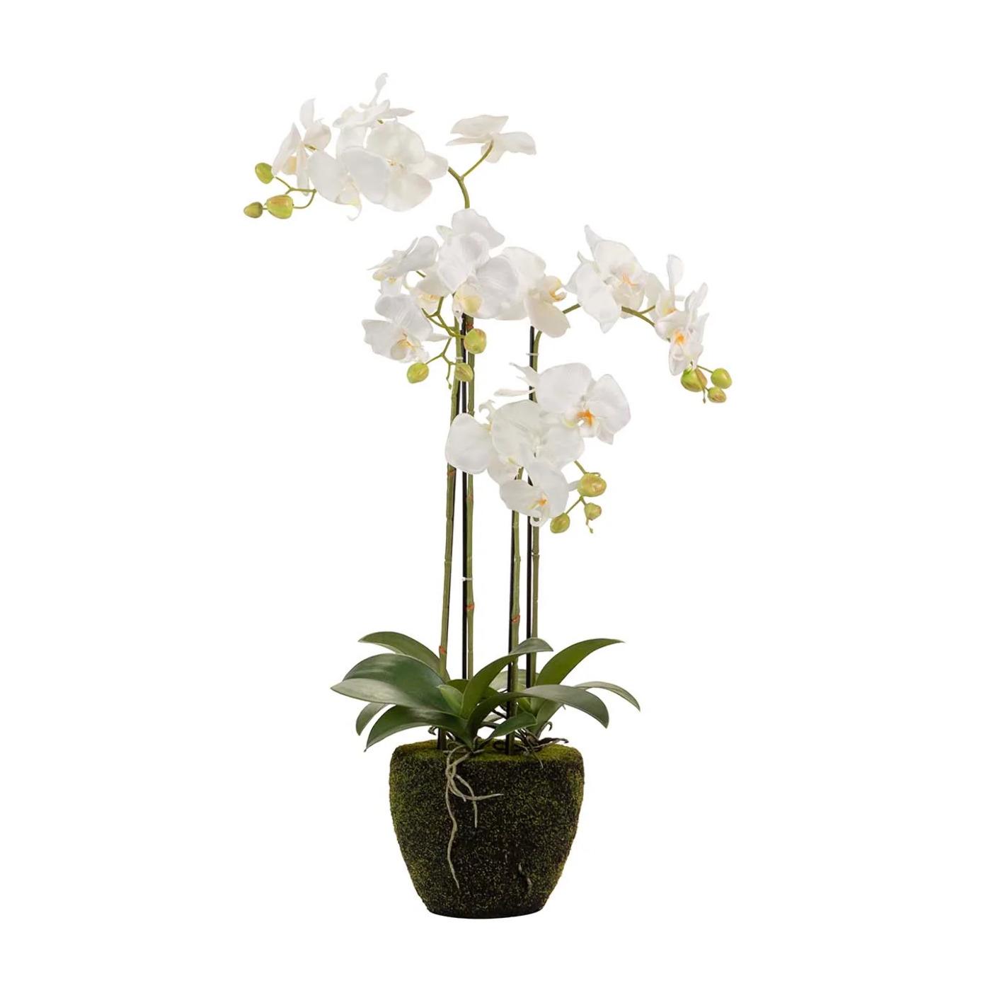 Orquidea Poliester Blanca Con Maceta 45x45x86 Cm