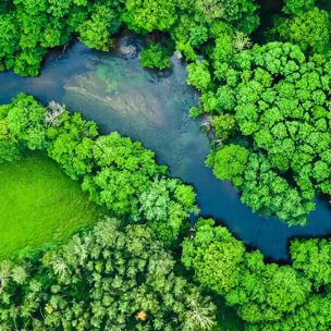 Affiche encadrée Vue aérienne d’une rivière traversant une forêt verte Affiche + cadre en métal - Noir