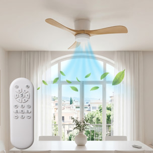 Ventilateur Plafond LED ALIYA D132CM